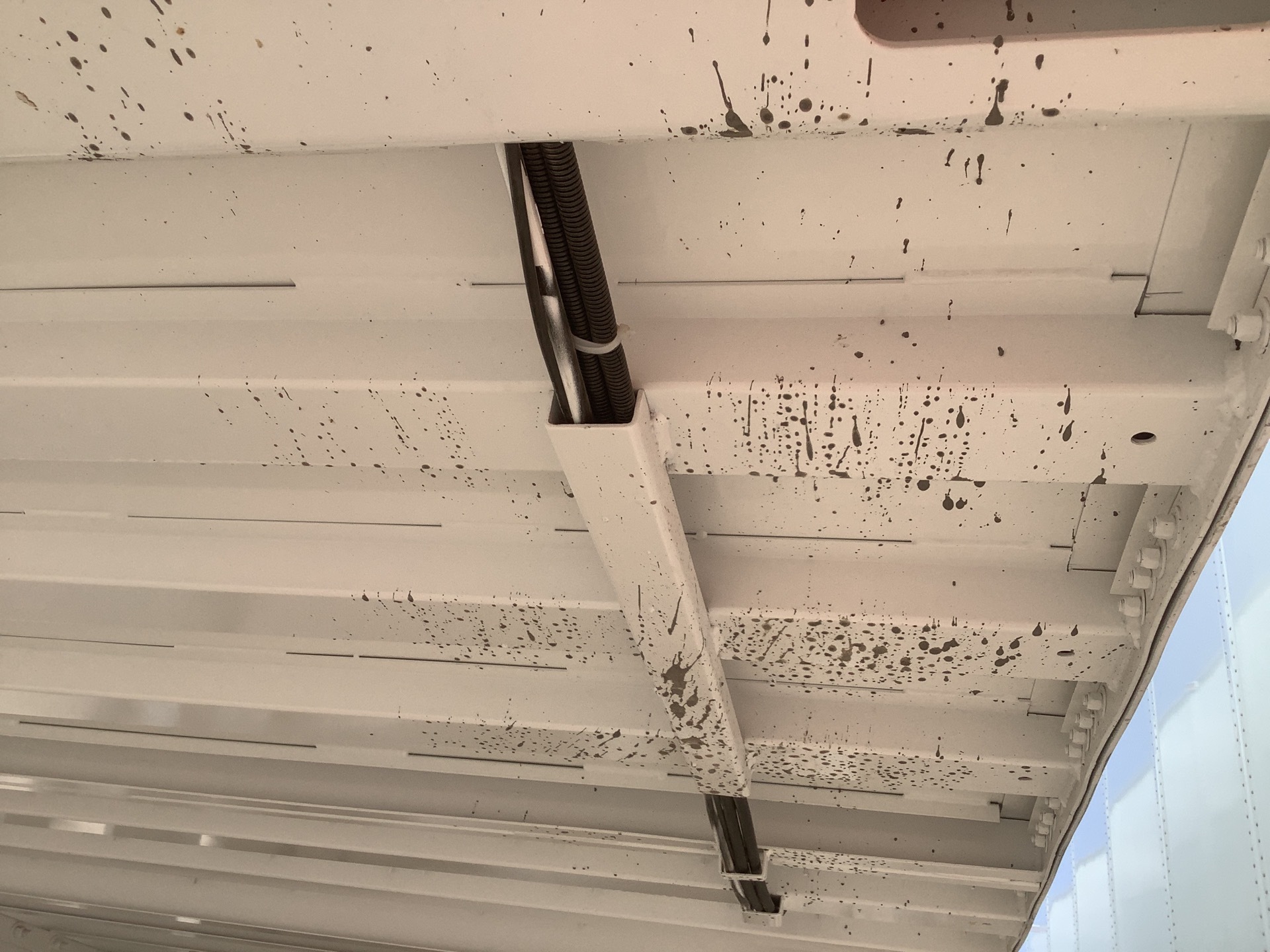 Photo - 18