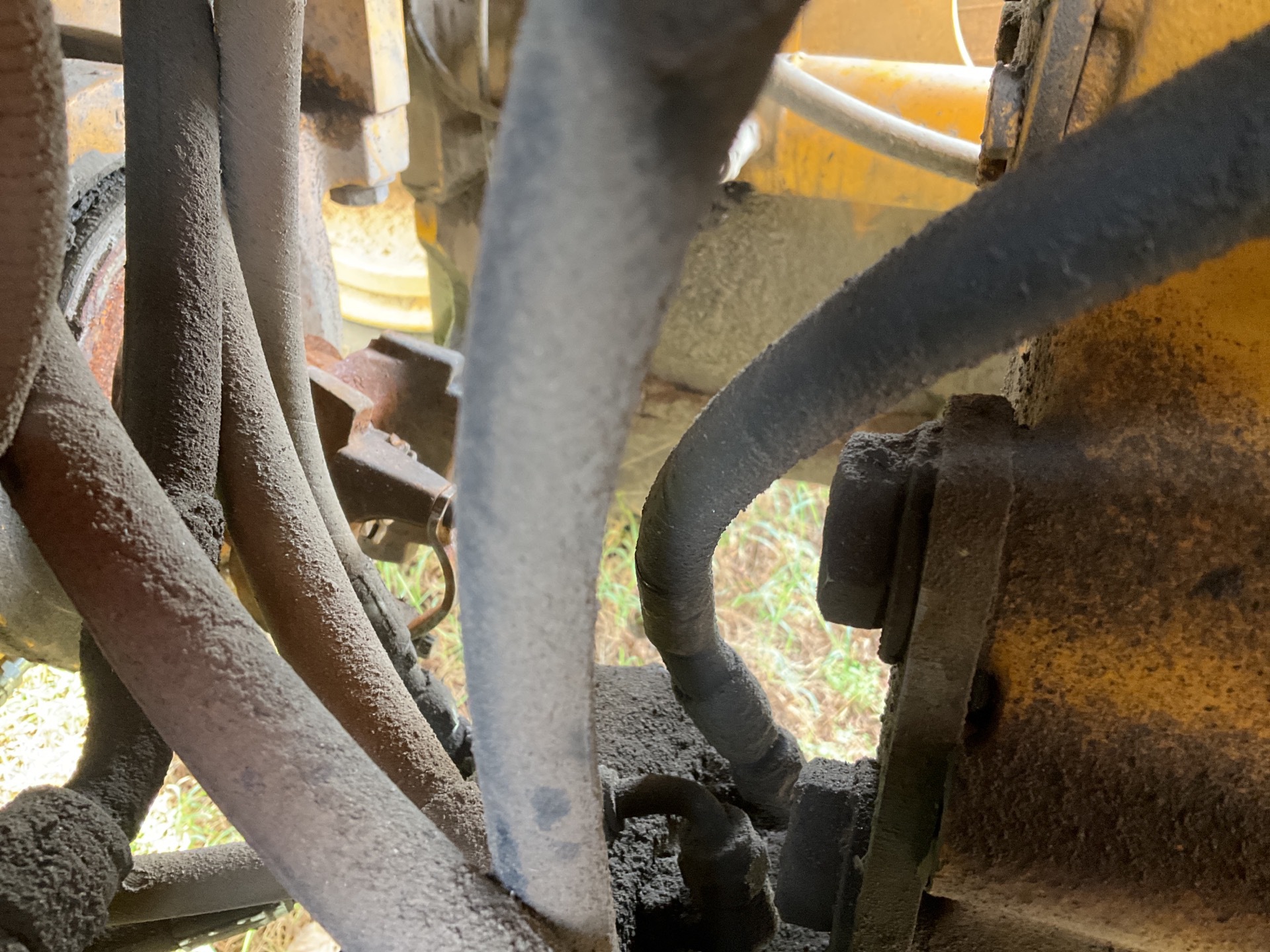 Photo - 19