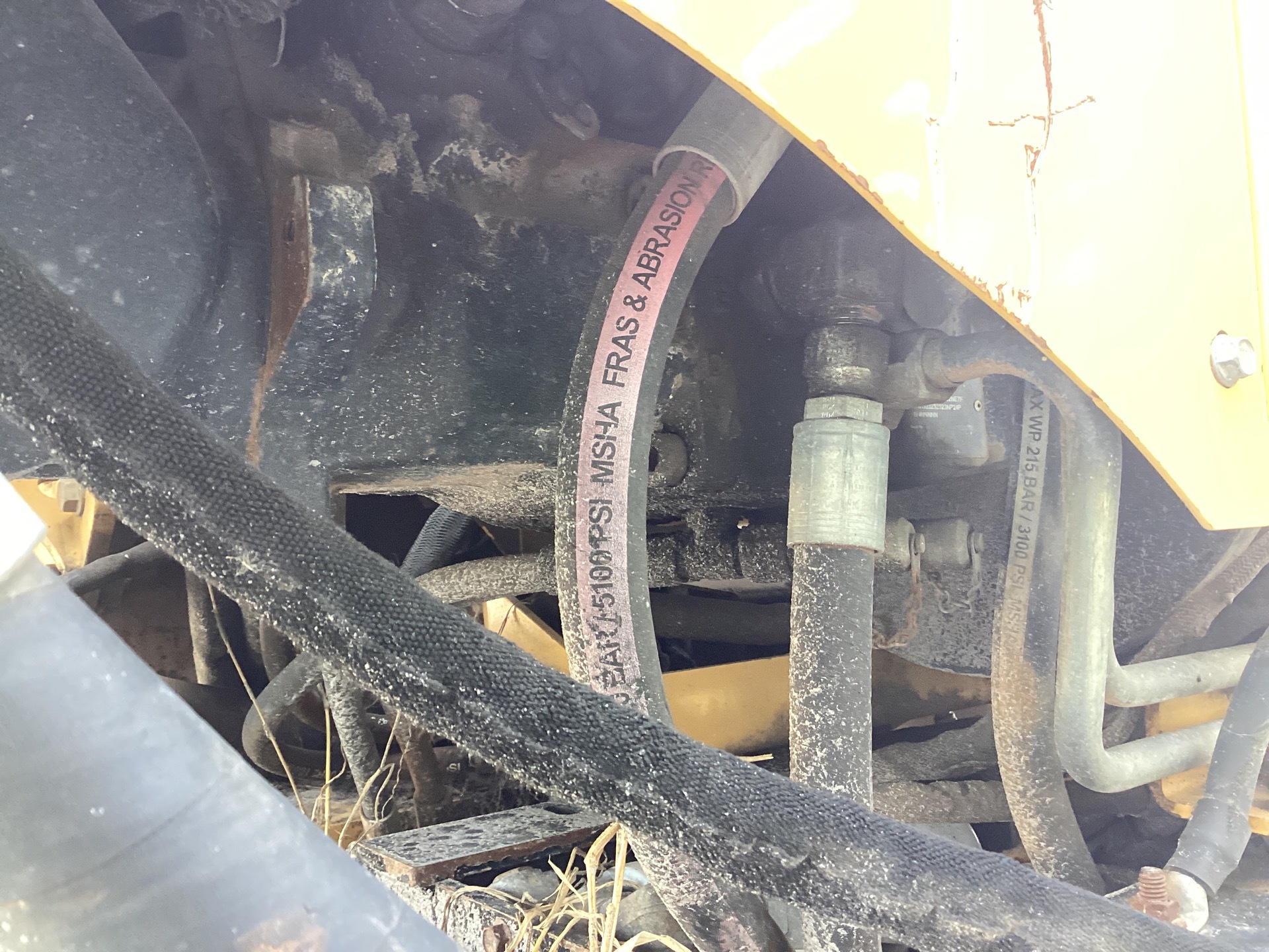 Photo - 19