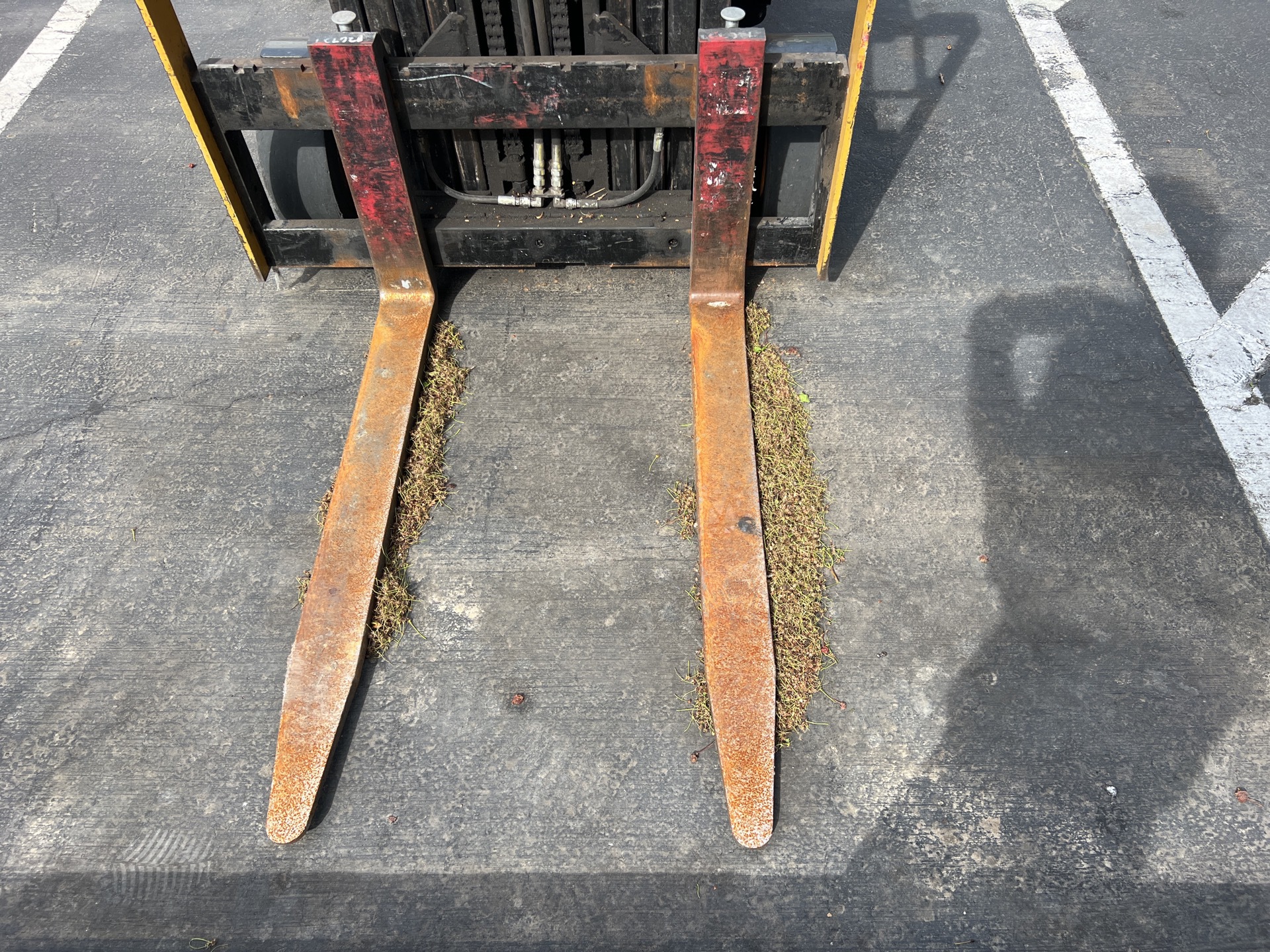 Photo - 25