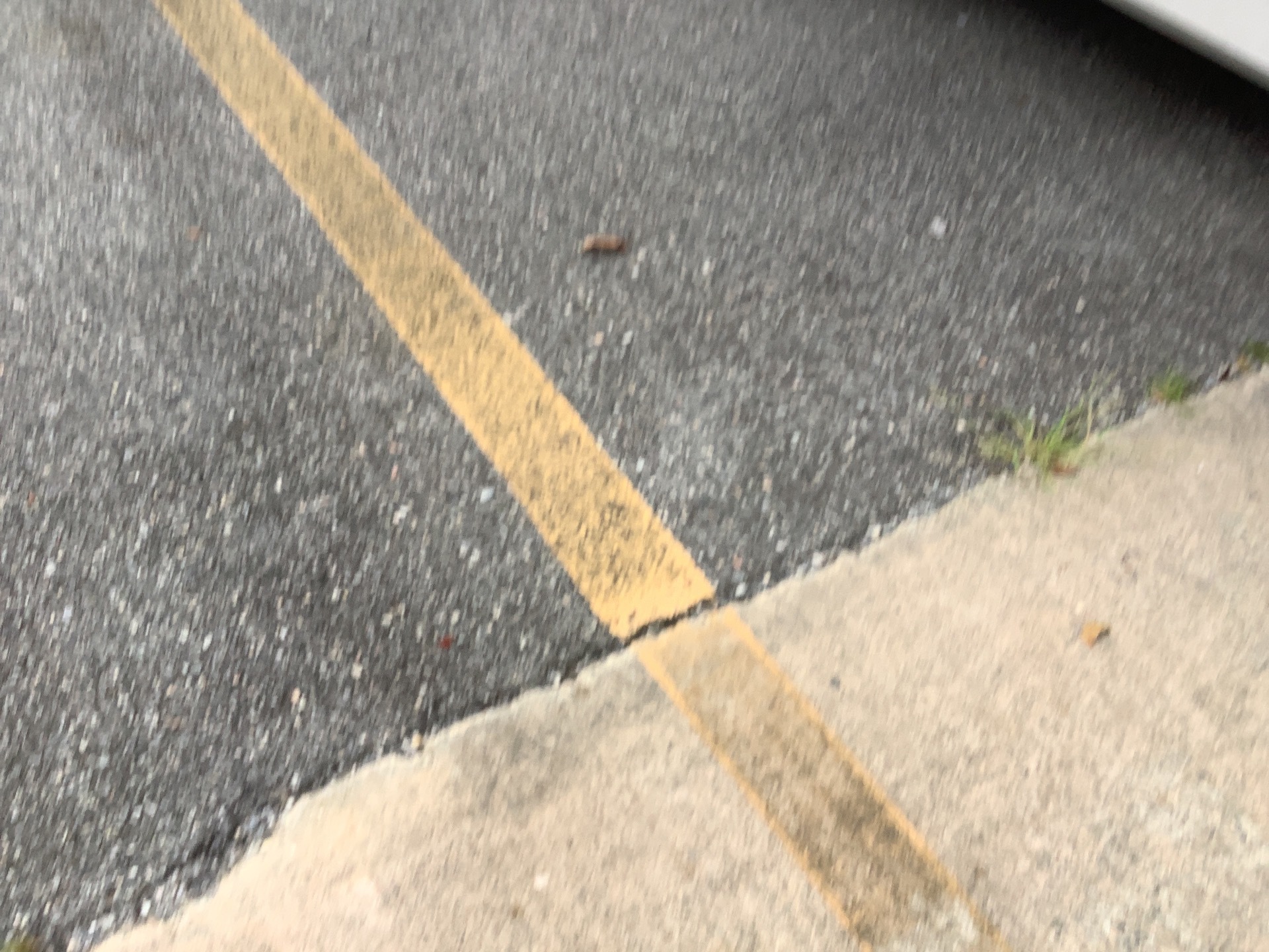 Photo - 15