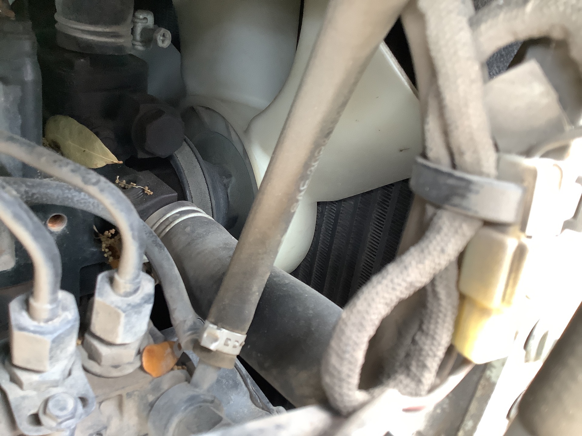 Photo - 27